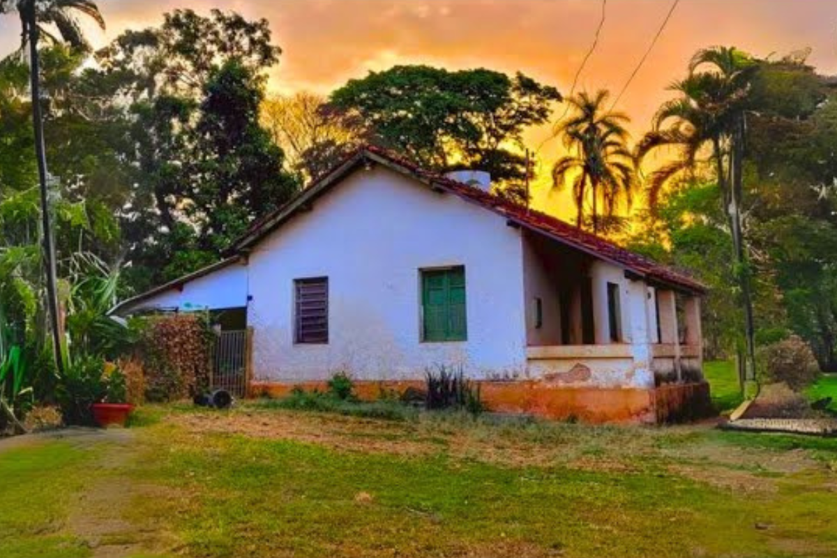A história da tradição dos benzimentos no Brasil